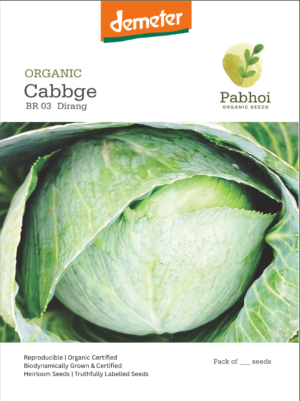 Cabbage-(Dirang)
