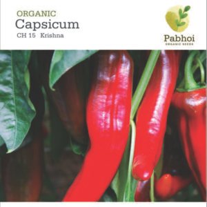 Capsicum(Krishna)