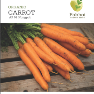 Carrot-Nongpoh