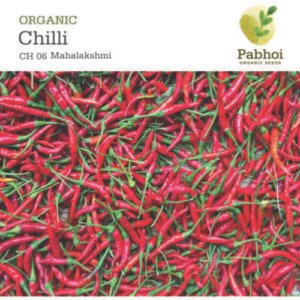 CHILLI [MAHALAKSHMI]