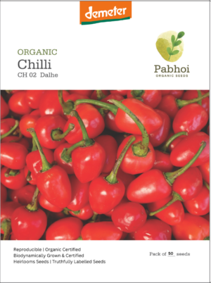 CHILLI-(DALHE)