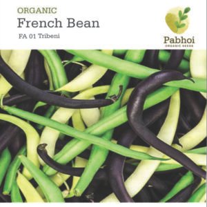 FRENCH BEANS [TRIBENI]