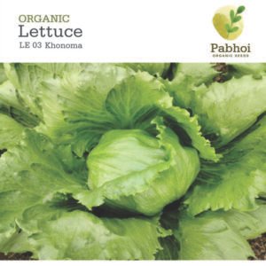 Lettuce-Khonoma