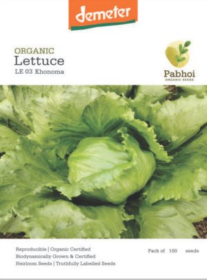 Lettuce-(Khonoma)