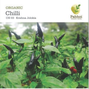 Chilli-Krishna Jolokia