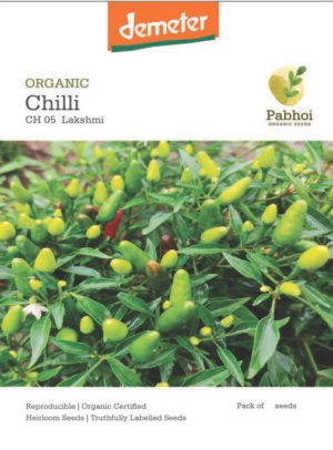Chilli-(Lakshmi)