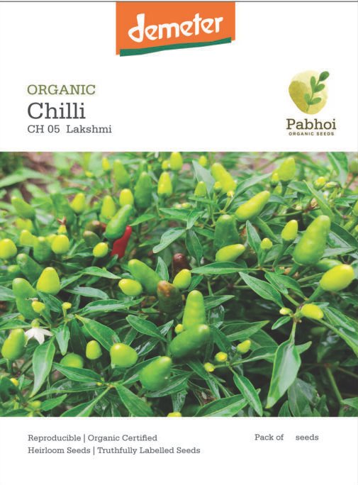 Chilli-Lakshmi