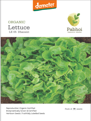 Lettuce-(Dhansiri)