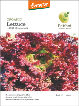 Lettuce-(Ronganadi)