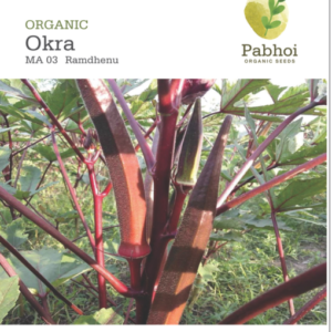 Okra(Ramdhenu)