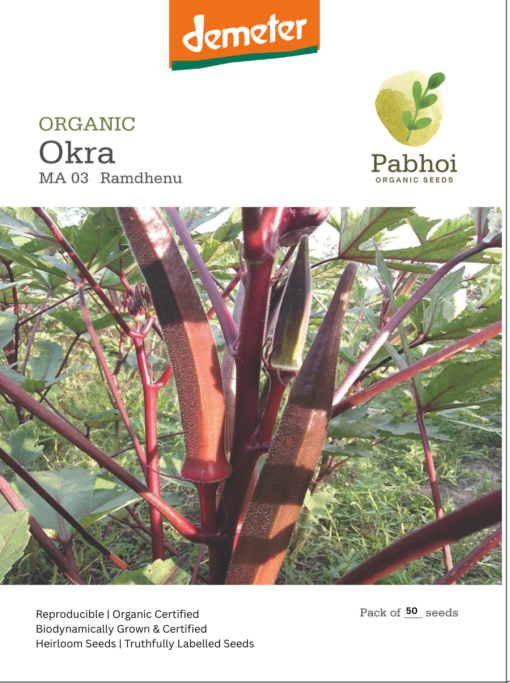 Okra(Ramdhenu)