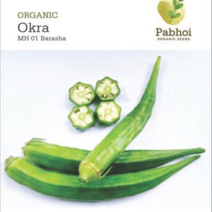 OKRA [BRISTI]