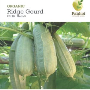 Ridge Gourd (Xarodi)