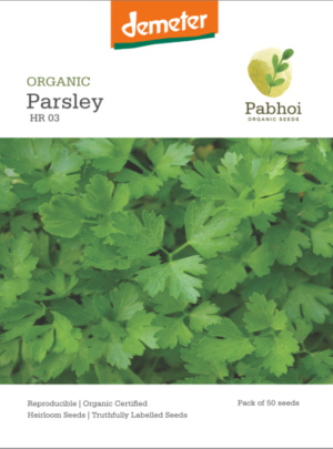 Parsley-(Gigante d'Italia)