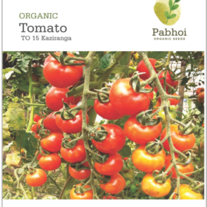 TOMATO [KAZIRANGA]