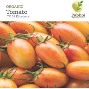 Tomato-Khusiyara