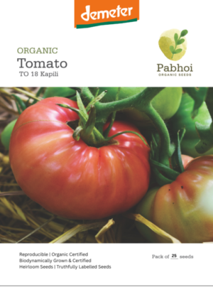 Tomato-(Kopili)