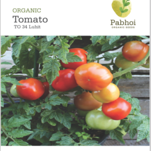 Tomato-Luhit