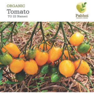 TOMATO [NAMERI]