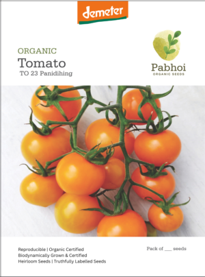 Tomato-(Panidihing)