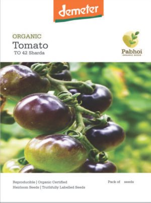 Tomato-(Sharda)