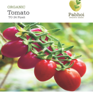 Tomato-Piyali
