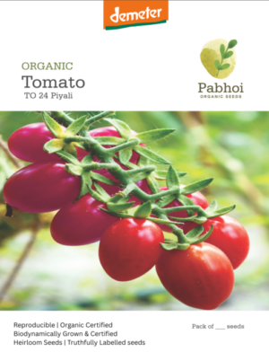 Tomato-(Piyali)