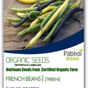 FRENCH BEANS [TRIBENI]