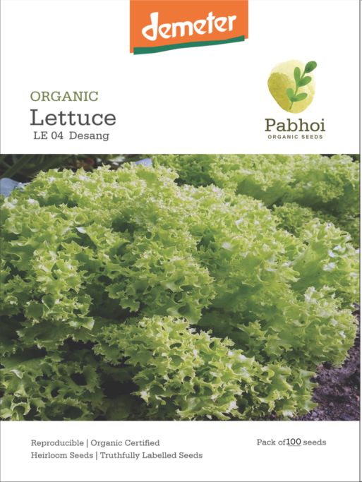 Lettuce-Desang