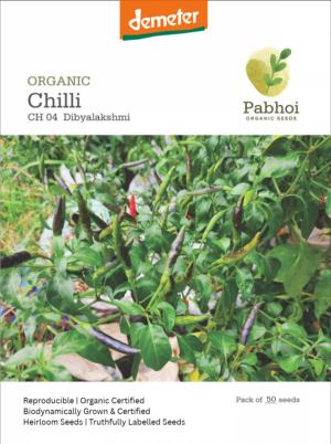 Chilli- (Dibyalakshmi)