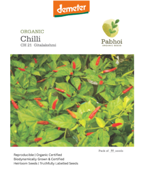 Chilli-(Gitalakshmi)