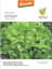 Lettuce-(Diphu)
