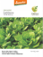 Lettuce-(Kohima)